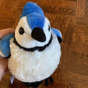 blue jay national geographic plush